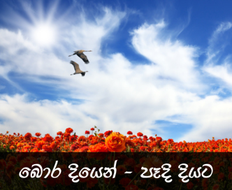 new era -text - bottom